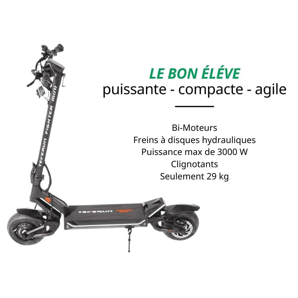 Trottinette électrique Teverun Fighter Mini