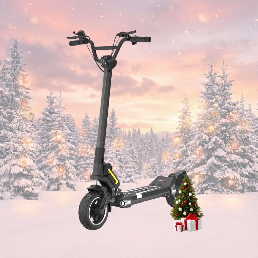 Trottinette électrique Dualtron Togo