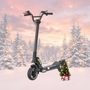 Trottinette électrique Dualtron Togo