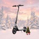 Trottinette électrique Hikerboy Curtis