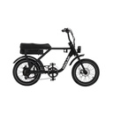 Vélo électrique Fatbike Knaap AMS X