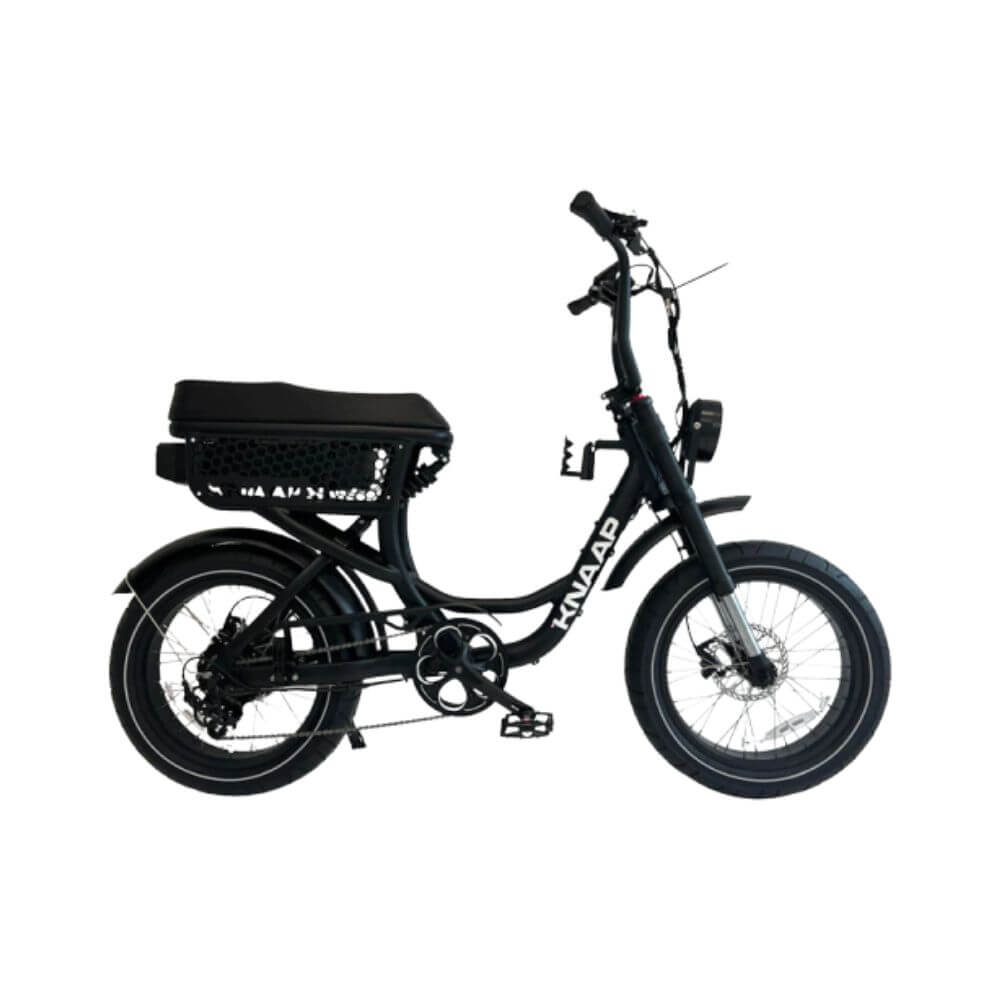 Vélo électrique Fatbike Knaap LON