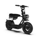 Scooter électrique Coopop Rugged GS