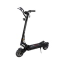 Trottinette électrique Teverun Fighter Q