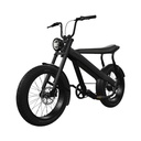 Vélo électrique Fatbike BREKR F250