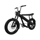Vélo électrique Fatbike BREKR F250