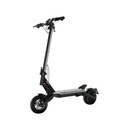 Trottinette électrique PUNK Roamer