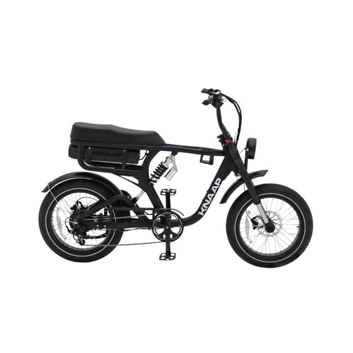 Vélo électrique Fatbike Knaap RTD X