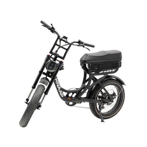 Vélo électrique Fatbike Knaap BCN