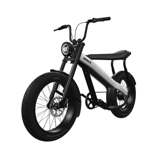 Vélo électrique Fatbike BREKR F250