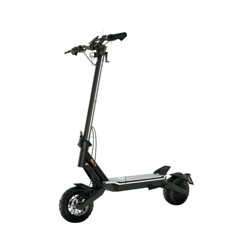 Trottinette électrique PUNK Roamer